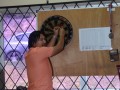 Tn 100 DSC 0941